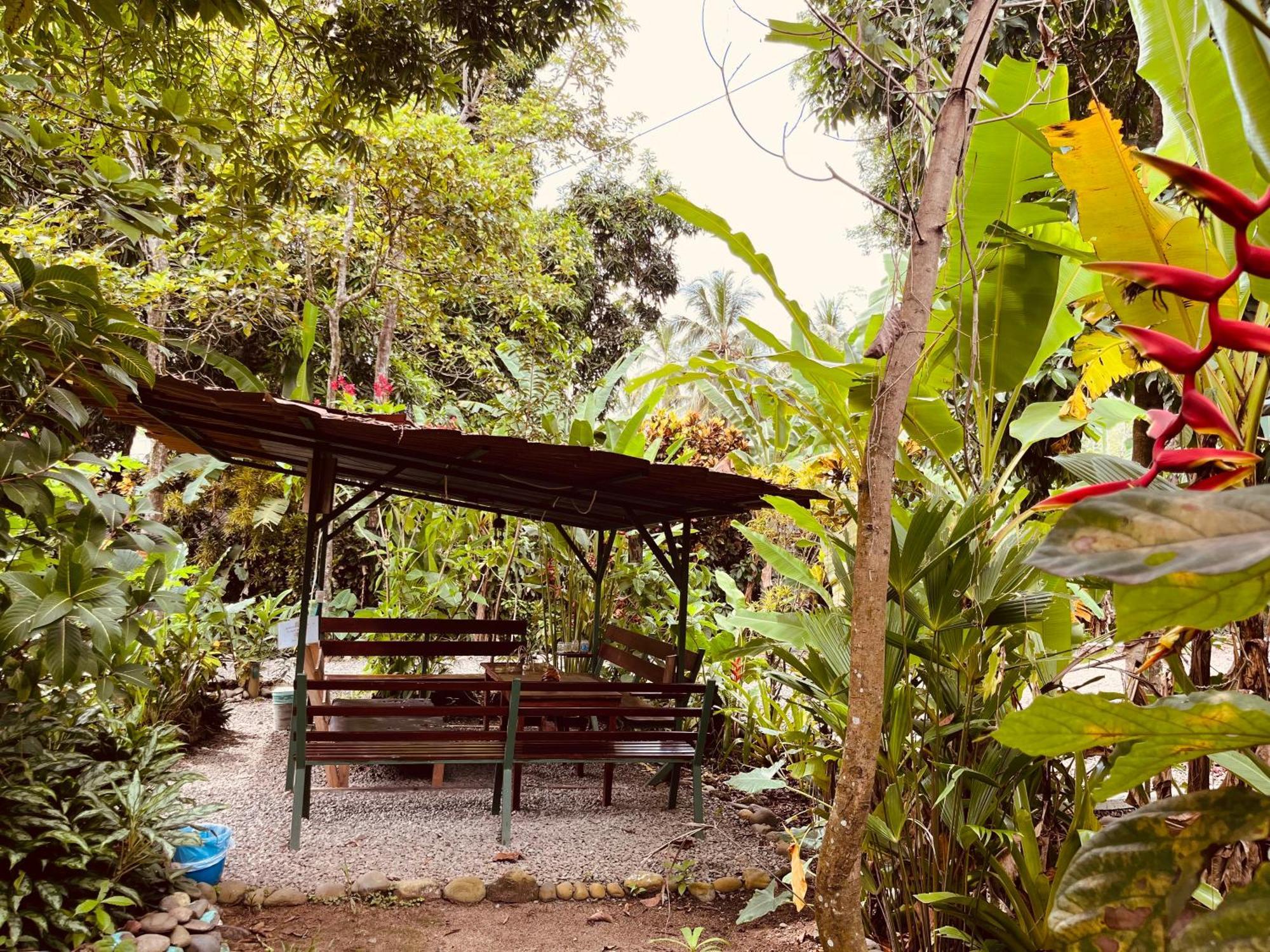 La Ruka Hostel Puerto Viejo de Talamanca Buitenkant foto