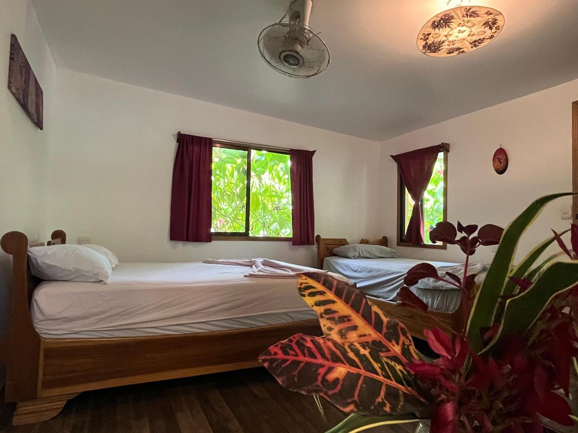 La Ruka Hostel Puerto Viejo de Talamanca Buitenkant foto