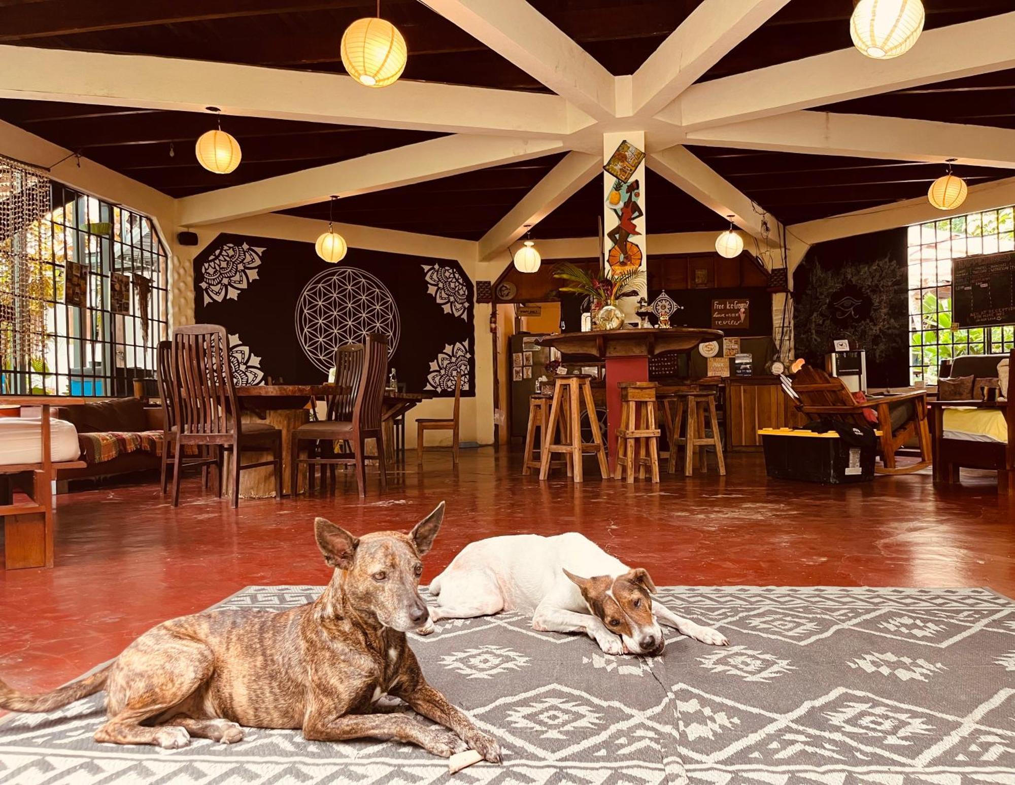 La Ruka Hostel Puerto Viejo de Talamanca Buitenkant foto