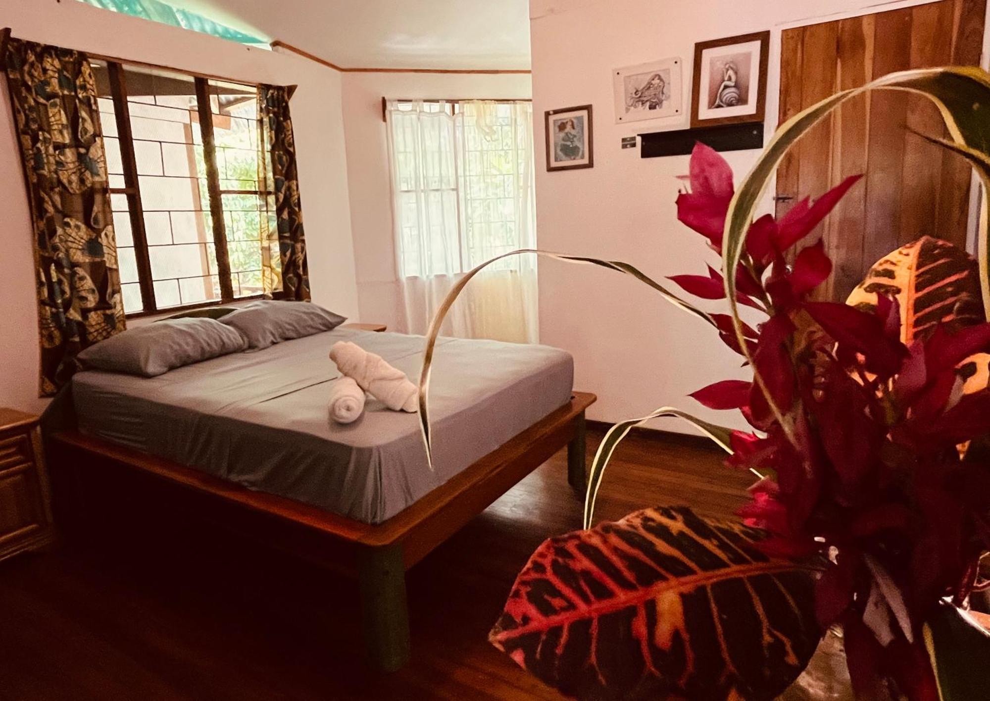 La Ruka Hostel Puerto Viejo de Talamanca Buitenkant foto